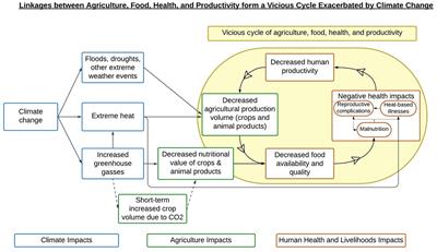 A review of the intersection between climate change, agriculture, health, and nutrition in Africa: costs and programmatic options